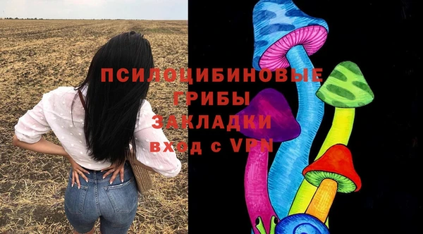 не бодяженный Алзамай