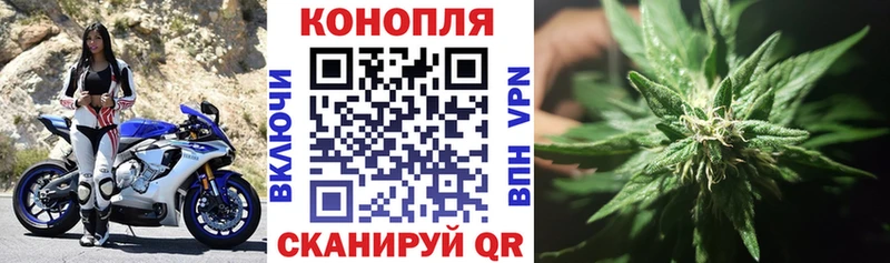 МАРИХУАНА сатива Вихоревка